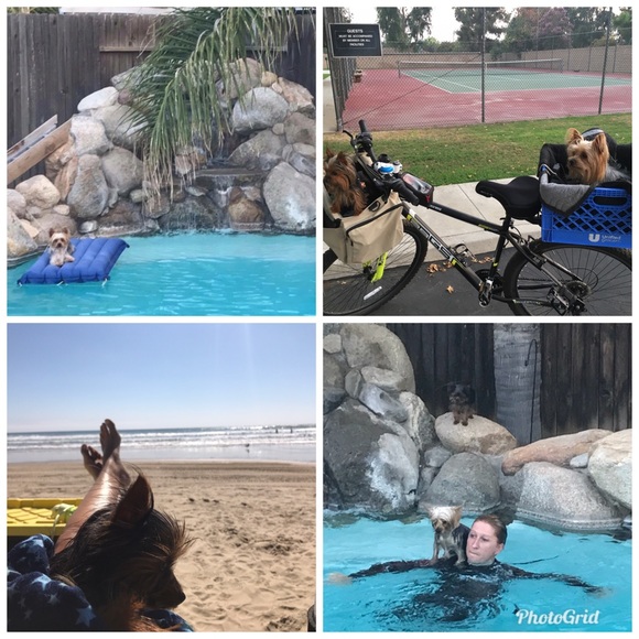 Hello fellow poshest 🛍I’m open to offers & bundle - Picture 6 of 6